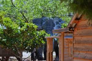 carrick hill 2014 (9)